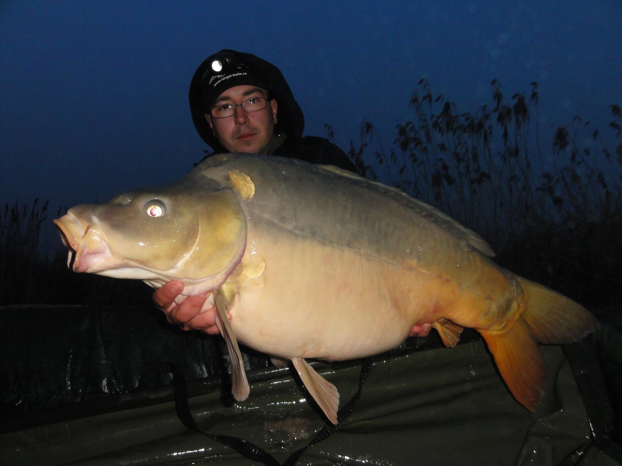 Aprilie 2013 - Harsany Aprilie 2013